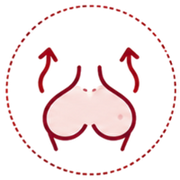 Promotes healthy breast tissue growth