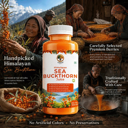 Himalayan Sea Buckthorn Juice bottle with harvesting scenes and text on a wooden background
