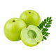 Amla